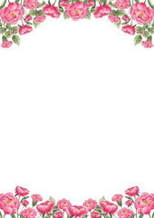 Hand-drawn frame of lush pink peonies in soft petals