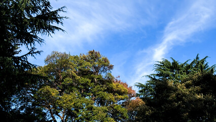 The beautiful views in Tokyo