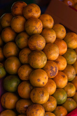 Bright and fresh oranges on the tree ready for harvest