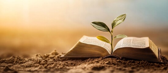 Open book lying ground small plant growing out Christian art highlighting growth