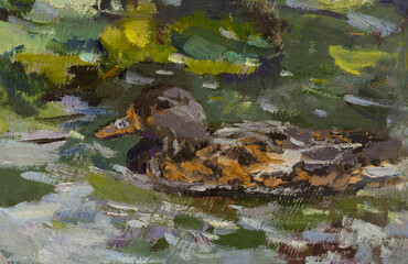 Duck oil painting. A hand-drawn illustration. A duck on a pond among water lilies. A painted portrait of a duck. Artistic background for the design. Authentic background paint strokes. Modern art