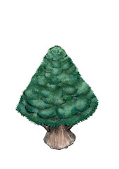 木を上から見た絵