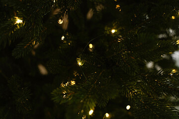 christmas tree lights