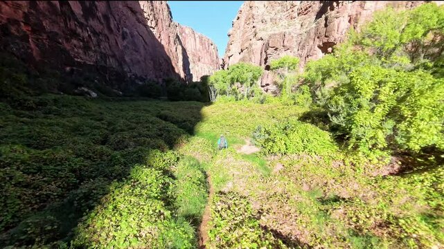 Hiking thru a canyon with green landscape in Havasupai on the way to Beaver Waterfall