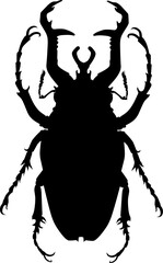 bettle vector art black and white