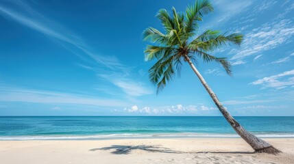 Tranquil Beach with Palm Tree and Clear Blue Sky