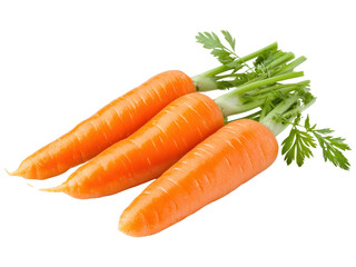 Fresh Orange Carrots With Green Tops Ready For Cooking