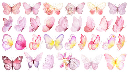 Butterfly collection. Watercolor illustration. Colorful butterflies clipart set. Baby shower design elements. Party invitation, birthday celebration. Spring, summer decor. Pink yellow red blue flowers