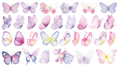 Butterfly collection. Watercolor illustration. Colorful butterflies clipart set. Baby shower design elements. Party invitation, birthday celebration. Spring, summer decor. Pink yellow red blue flowers