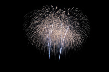 Fireworks in the night sky