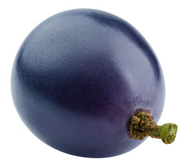 purple or blue Grape, isolated on white background, full depth of field