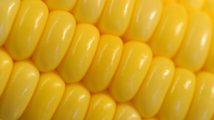 Macro close-up of a corn cob, revealing the intricate patterns and fine details of the kernels. Perfect for poster or wallpaper design, celebrating the beauty and complexity of natural food textures.