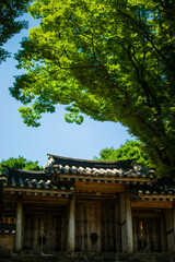 Old gate of a traditional Korean house with trees