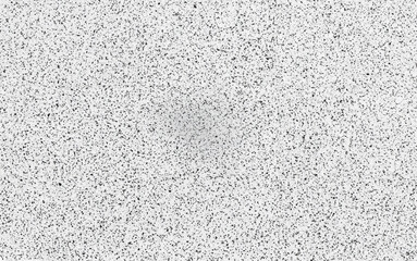 Detailed granular black and white speckled texture, ideal for backgrounds, patterns, or design overlays.