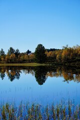 Obraz premium Autumn Reflection on a Tranquil Lake