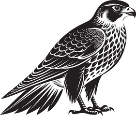 Fototapeta premium saker falcon vector illustration design