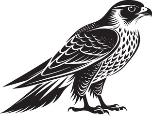 Obraz premium saker falcon vector illustration design