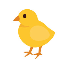 Chicken Vector Illustration - 05