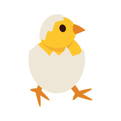 Chicken Vector Illustration - 06