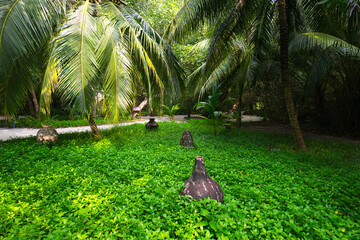 The beautiful flowerbed with bright green and lush with concrete vases surrounded by palm trees