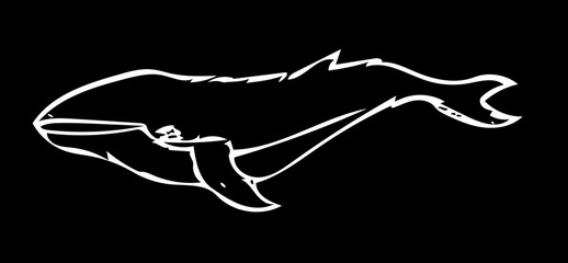 Whale 