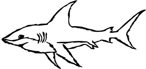 silhouette of a shark