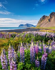autumn landscape with lake