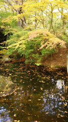 It is famous for its beautiful autumn colors.