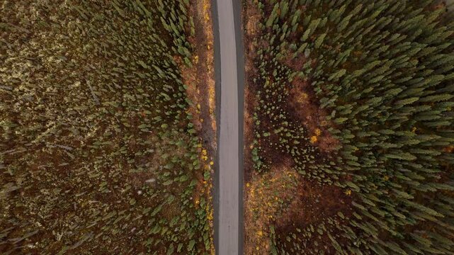Dempster Highway Through Dense Forest Near Ogilvie Mountains In Yukon, Canada. Aerial Topdown Shot