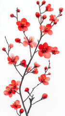 Beautiful red flowers on branch, symbolizing spring and renewal