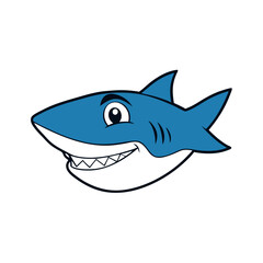 shark illustration