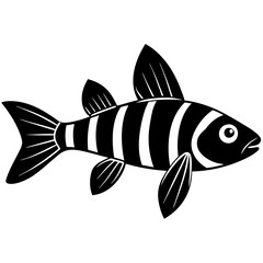 illustration of a fish