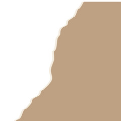 torn paper vector illustration