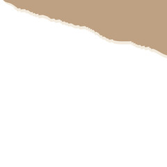torn paper vector illustration