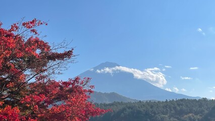The trees leaves on the mountains were starting to change color.
