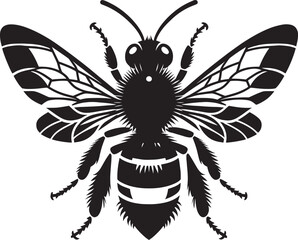 Honey bee insect silhouette vector illustration isolated on white background