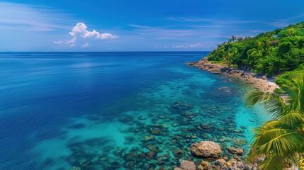 Fototapeta premium Serene Coastal View with Clear Blue Water