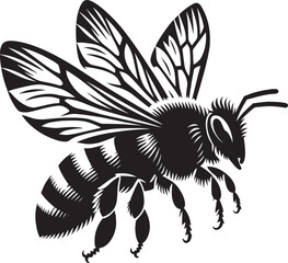 Honey bee insect silhouette vector illustration isolated on white background