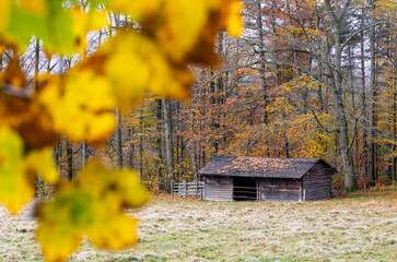 Impressionen Bilder aus dem Elbsandsteingebirge Hohnstein