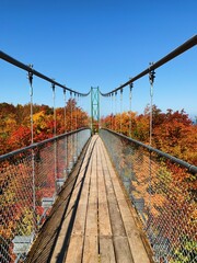 Vertical Landscape, Autumn Colors, Scenic Caves Suspension Bridge, The Blue Mountains, Ontario,...