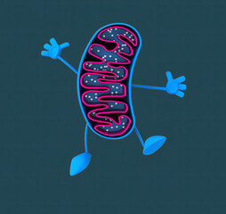 Fun 3D cartoon mitochondria