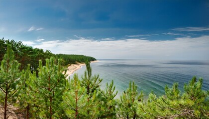 Obraz premium view of the coast of the sea in peninsula