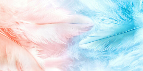 Obraz premium A close up of feathers with a pink and blue color scheme