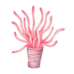 Tube corals, sea sponge. Watercolor and marker illustrations. Ocean coral reefs, underwater animal of seabed. Hand drawn isolated art. Underwater nature of marine ecosystem for tourism industry