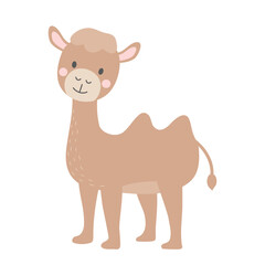 Cute camel isolated on white background. Cartoon nursery art baby character.