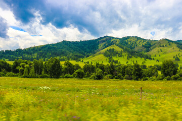 Nature. Altai Mountains
