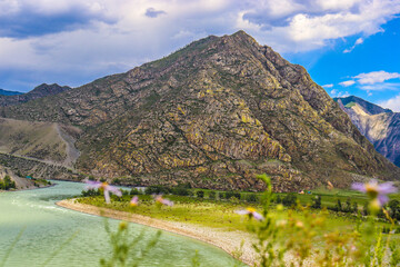 Nature. Altai Mountains