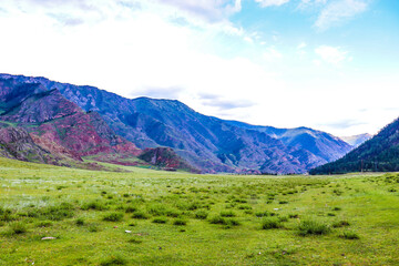 Nature. Altai Mountains