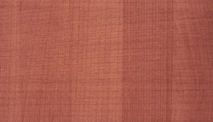 Fototapeta premium The old wood texture with natural patterns.