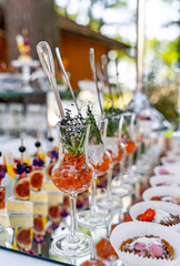 Chic appetizers at a sunny outdoor event. A variety of beautifully presented appetizers showcased at a warm, sunny outdoor gathering with vibrant colors.
